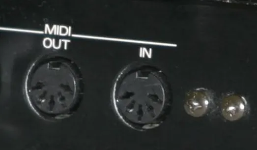 Two five-pin DIN sockets on the back of an instrument, labelled MIDI OUT on the left and IN on the right, both empty